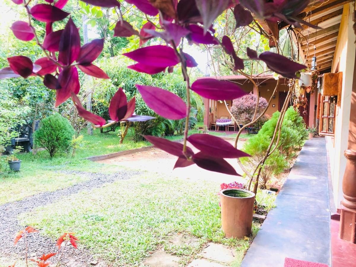 Sigiriya Nature Villa Lodge Exterior photo