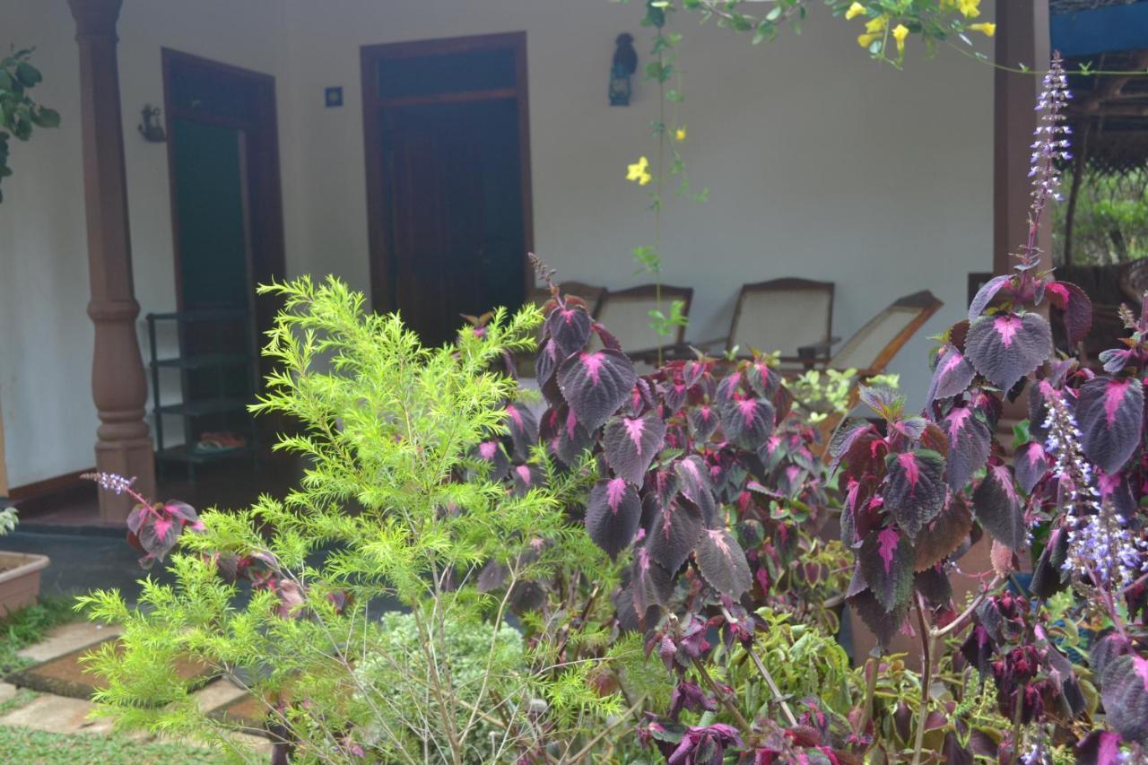 Sigiriya Nature Villa Lodge Exterior photo